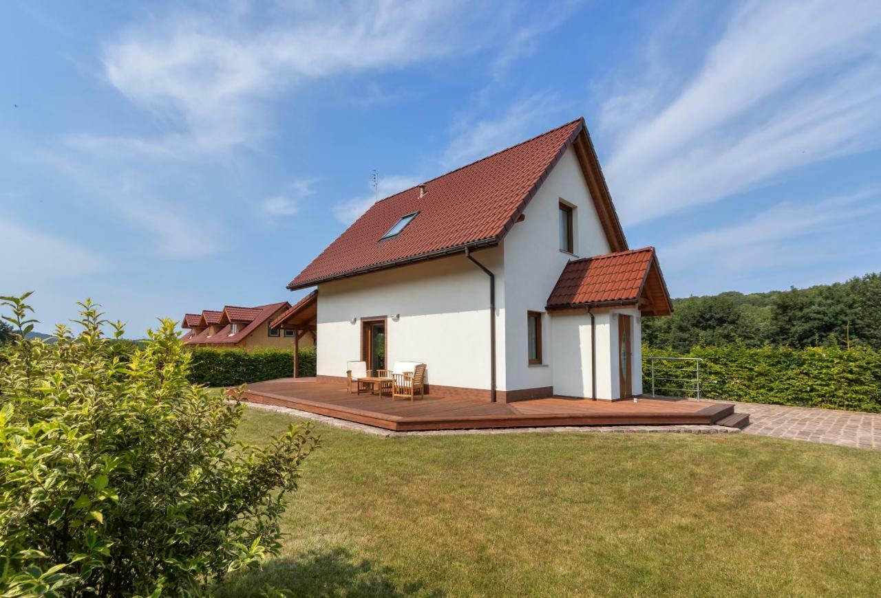 فيلا Amber House Wisełka المظهر الخارجي الصورة