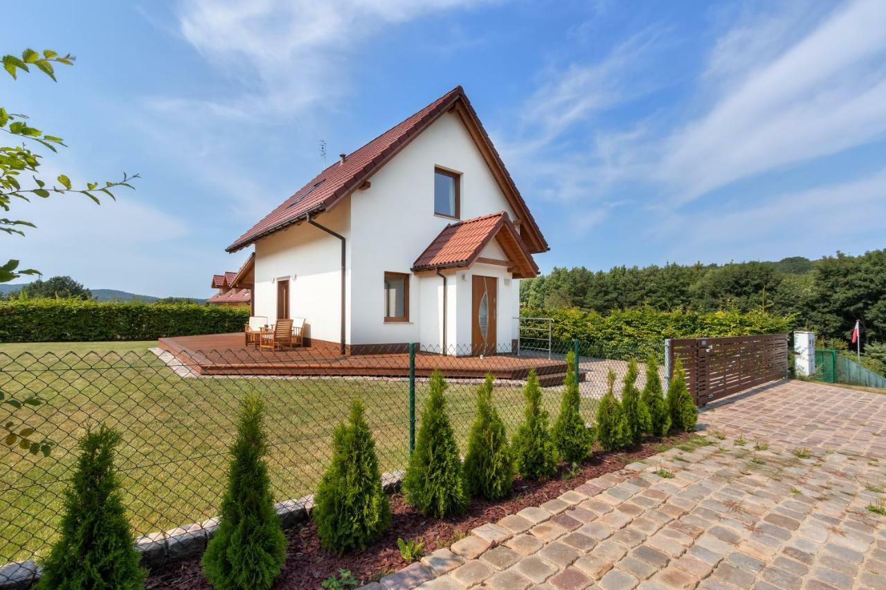 فيلا Amber House Wisełka المظهر الخارجي الصورة